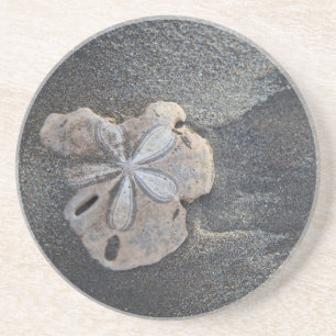 Sanddollar auf Sand Untersetzer