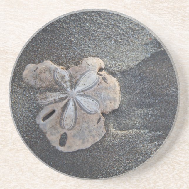 Sanddollar auf Sand Untersetzer (Vorne)