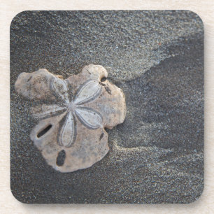 Sanddollar auf Sand Untersetzer