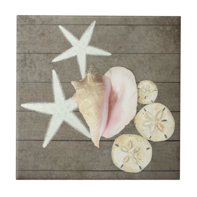 Sanddollar Conch Muscheln Rustikales Holz Fliese (Vorderseite)
