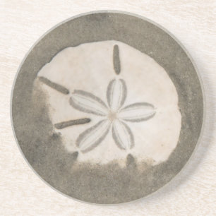 Sanddollar (Echinarachnius parma) Getränkeuntersetzer