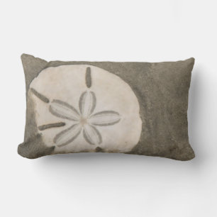 Sanddollar (Echinarachnius parma) Lendenkissen