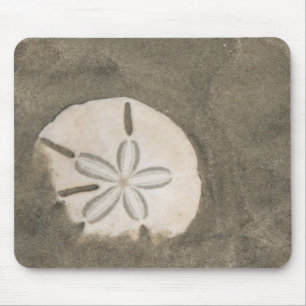 Sanddollar (Echinarachnius parma) Mousepad