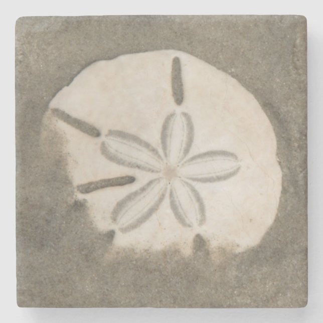 Sanddollar (Echinarachnius parma) Steinuntersetzer (Vorderseite)