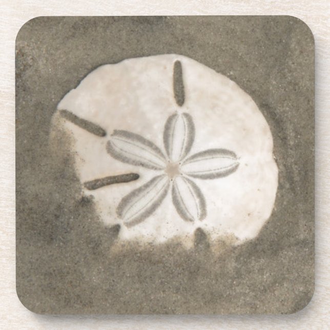 Sanddollar (Echinarachnius parma) Untersetzer (Vorderseite)