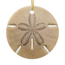 Sanddollar