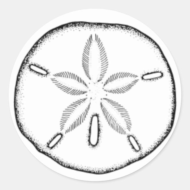 Sanddollar Runder Aufkleber (Vorderseite)