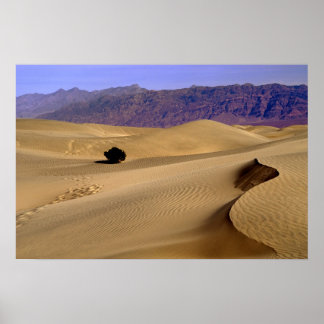 Sanddüne im Death Valley Poster