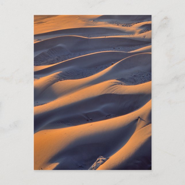 Sanddünen-Abstrakt Postkarte (Vorderseite)