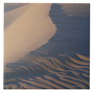 Sanddünen an den Süßhülsenbaum-Ebenen Fliese