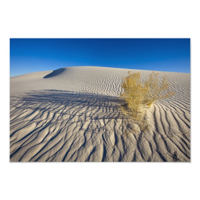 Sanddünen im Nationaldenkmal der weißen Sande in 3 Fotodruck (Vorne)