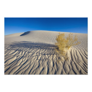 Sanddünen im Nationaldenkmal der Weißen Sande in Fotodruck