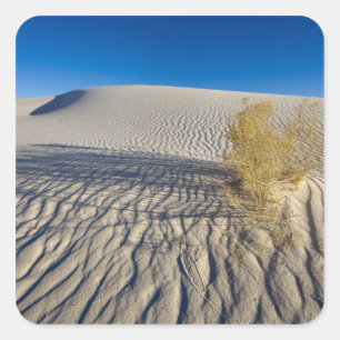 Sanddünen im Nationaldenkmal der Weißen Sande in Quadratischer Aufkleber
