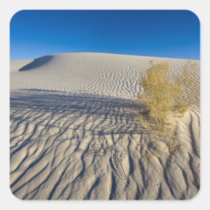 Sanddünen im Nationaldenkmal der Weißen Sande in Quadratischer Aufkleber