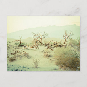 Sanddünen im Todestal Postkarte