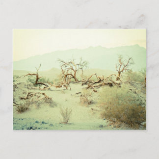 Sanddünen im Todestal Postkarte