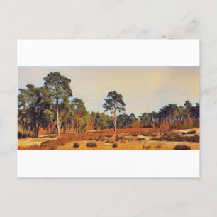Sanddünen in Holm bei der Hamburger Naturkunst Postkarte
