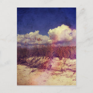 Sanddünen in South Carolina Postkarte