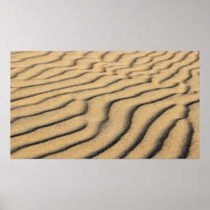 Sanddünen mit Sandstrand Poster