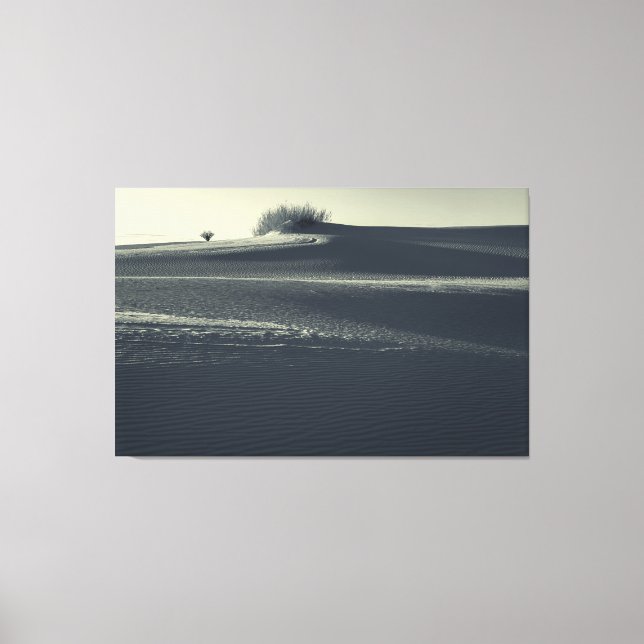 Sanddünen mit Yucca Leinwanddruck (Vorderseite)