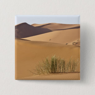 Sanddünen, Sahara-Wüste, Marokko Button