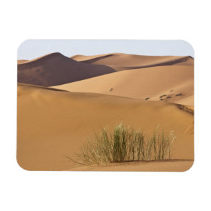Sanddünen, Sahara-Wüste, Marokko Magnet