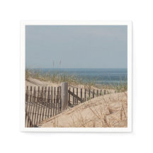 Sanddünen und Beachzaun