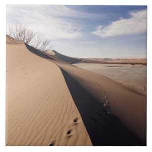 Sanddünenformationen. Bruneau Dunes Staat Park Fliese