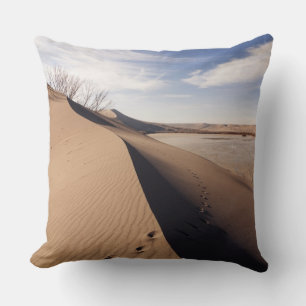 Sanddünenformationen. Bruneau Dunes Staat Park Kissen