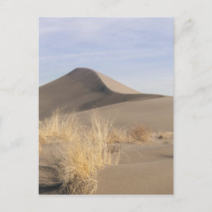 Sanddünenformationen. Bruneau Dunes State Park 2 Postkarte