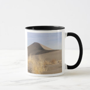 Sanddünenformationen. Bruneau Dunes State Park 2 Tasse