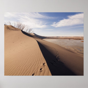 Sanddünenformationen. Bruneau Dunes State Park Poster