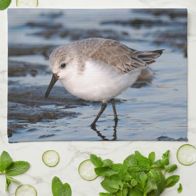 Sanderling auf einem Winterstrand Handtuch (Gefaltet)