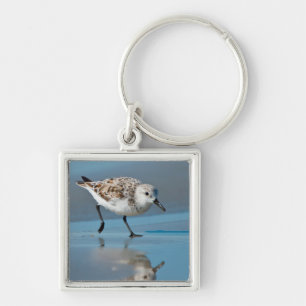 Sanderling (Calidris Albe) Fütternd am Strand von  Schlüsselanhänger