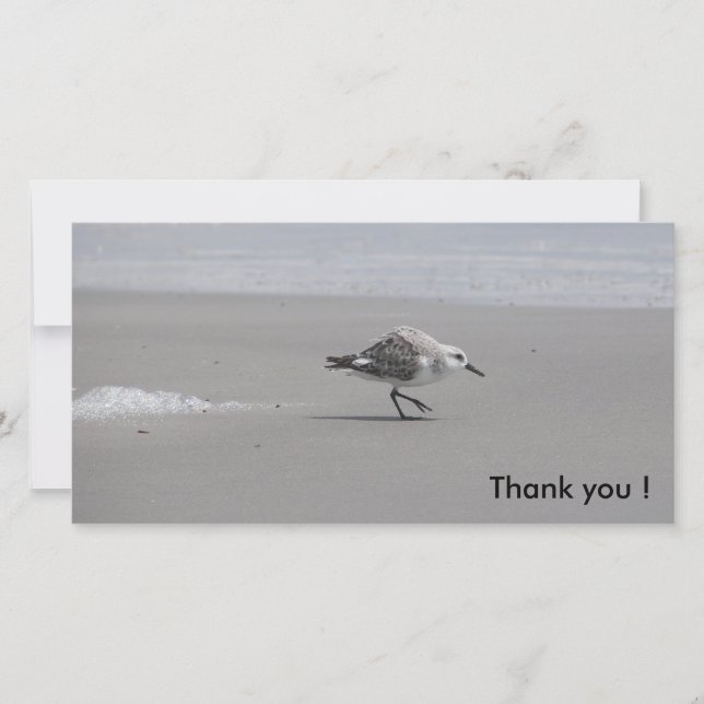 Sanderling, danke! dankeskarte (Vorderseite)