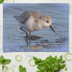 Sanderling Spazieren an einem Winterstrand Küchentuch