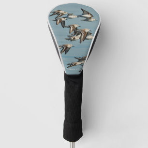 Sanderlings fliegen im Winter Golf Headcover