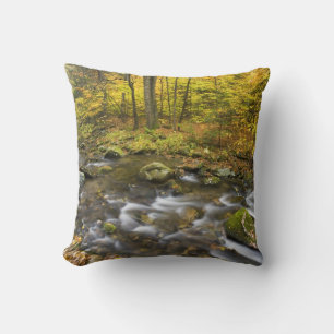 Sanderson Brook. Chester-Blanford Staat Forest. Kissen