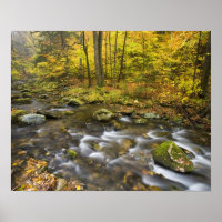 Sanderson Brook. Chester-Blanford Staat Forest.