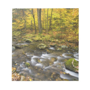 Sanderson Brook. Chester-Blanford State Forest. Notizblock