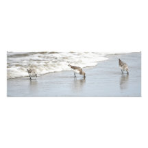 Sandfänger am Strand Großes Foto Print
