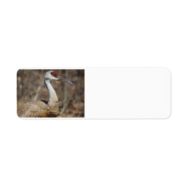 Sandhill Crane-Adresseetiketten (Vorne)