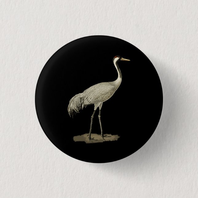 Sandhill Crane Antigone Canadensis Bird Nor Button (Vorderseite)