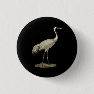 Sandhill Crane Antigone Canadensis Bird Nor Button
