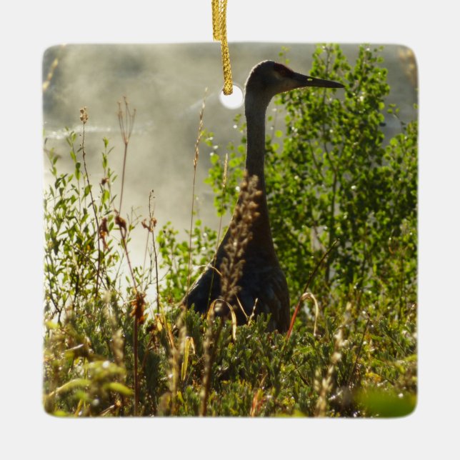 Sandhill Crane bei Moose Ponds in Grand Teton Keramikornament (Vorderseite)
