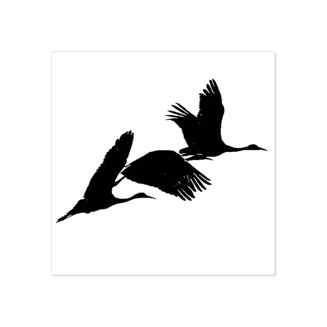 Sandhill Crane Birds Wildlife Animals Wood Briefma Gummistempel (Prägung)