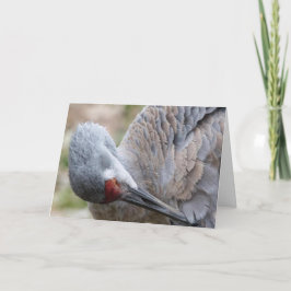 Sandhill Crane Blank Note Card Karte