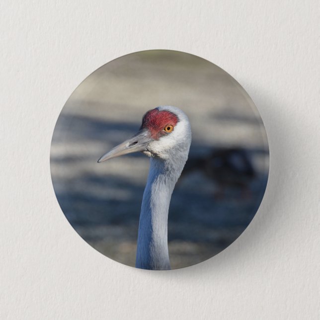 Sandhill Crane Button (Vorderseite)