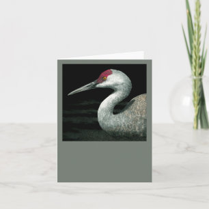 Sandhill Crane Card - "Grassland Grace" Karte