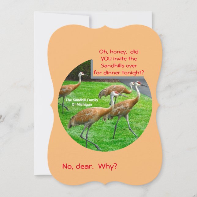 SANDHILL CRANE FAMILIE/DANKE, DASS SIE EINE Flachk (Vorderseite)